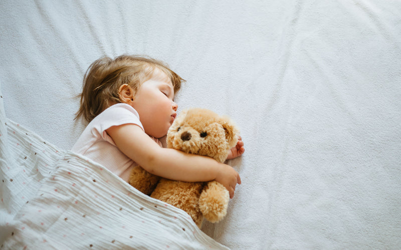 The Ideal Sleep Environment - Where Should Your Newborn Sleep at Night?